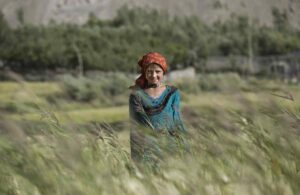 در مزرعه گندم روستای واخان